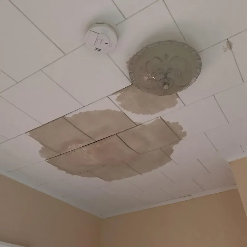 Ceiling Water Damage Repair in Ashley, ND