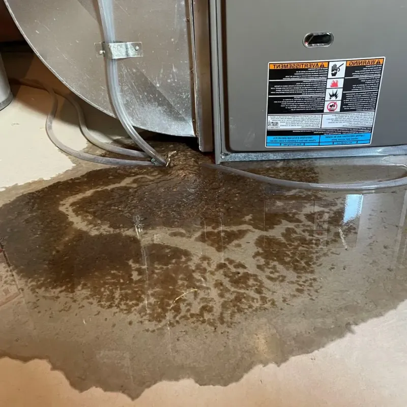 Pipe Burst and Leak Restoration in Ashley, ND