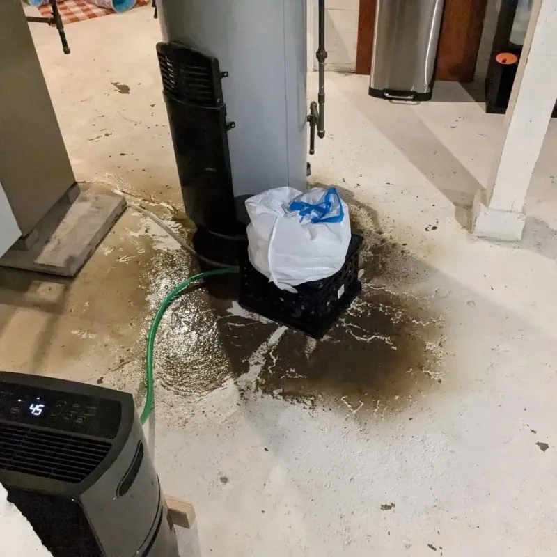 Sewage Backup Cleanup Service in Ashley, ND